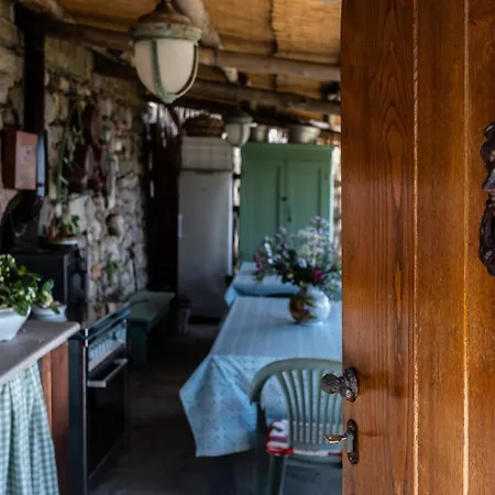 - Casa Viva