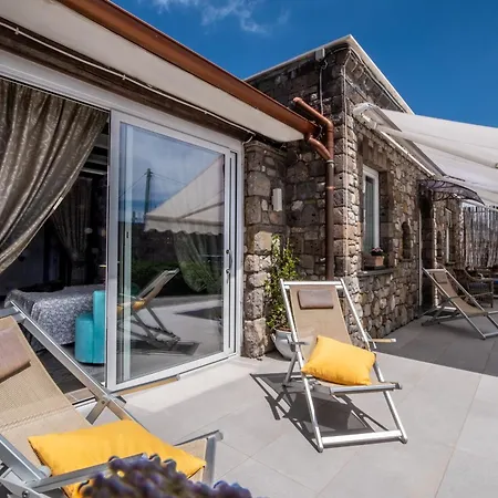 - Casa Viva