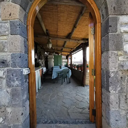 - Casa Viva *